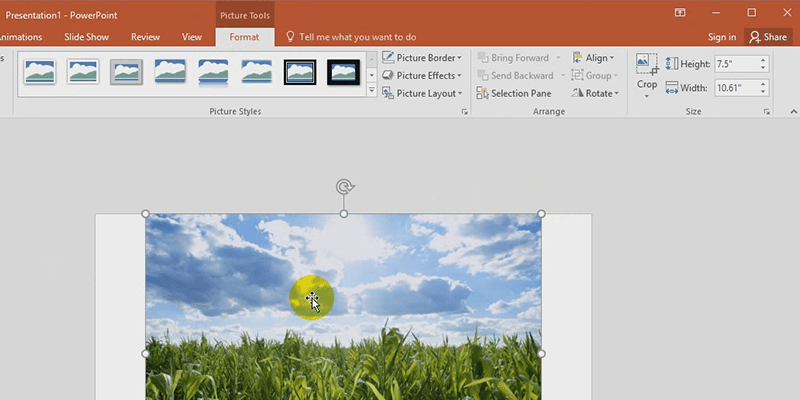 powerpoint picture tools