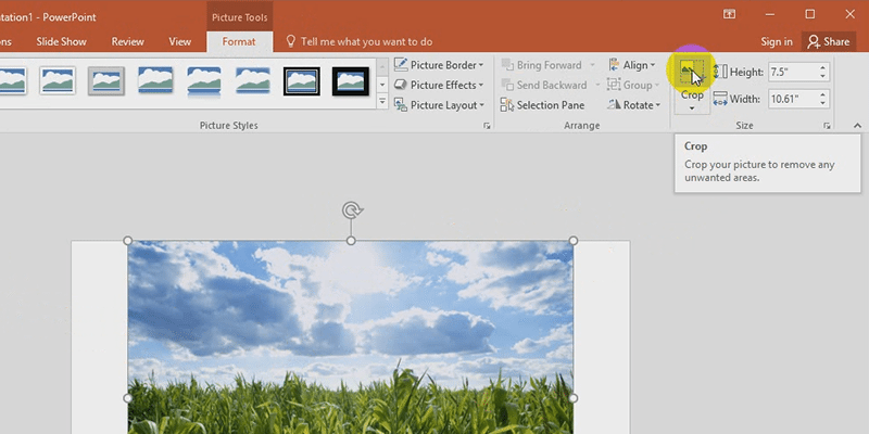 cropping pictures in powerpoint 2013