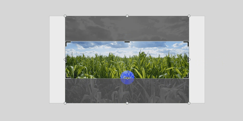 powerpoint crop image area