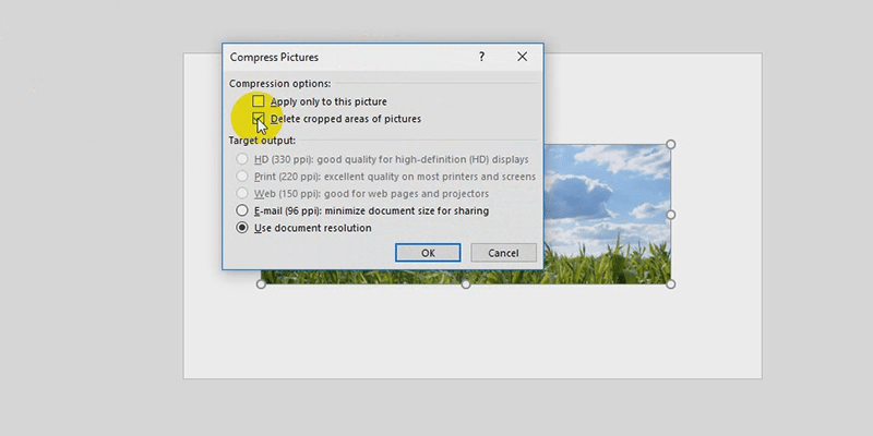 powerpoint delete crop areas of pictures option