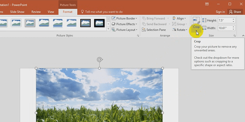 powerpoint 2013 crop icon