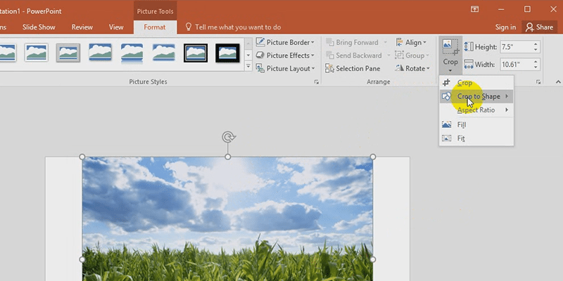 powerpoint 2013 crop to shape features