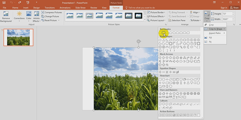 powerpoint 2013 crop to shape options