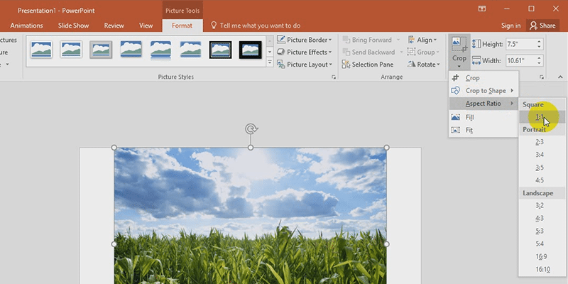 powerpoint 2013 Crop to a Common Aspect Ratio