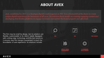 AVEX PowerPoint Presentation Slide Examples 2