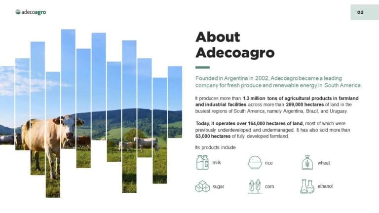 Adecoagro PowerPoint Presentation Slide Examples 2