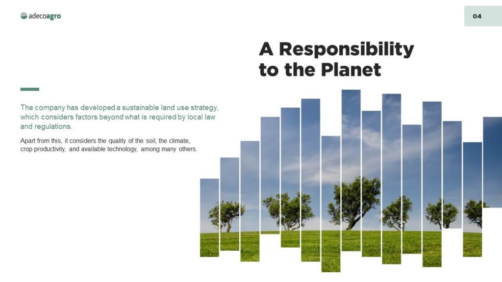 Slide 5