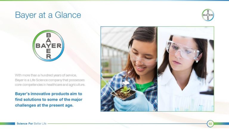 Bayer PowerPoint Presentation Slide Examples 2