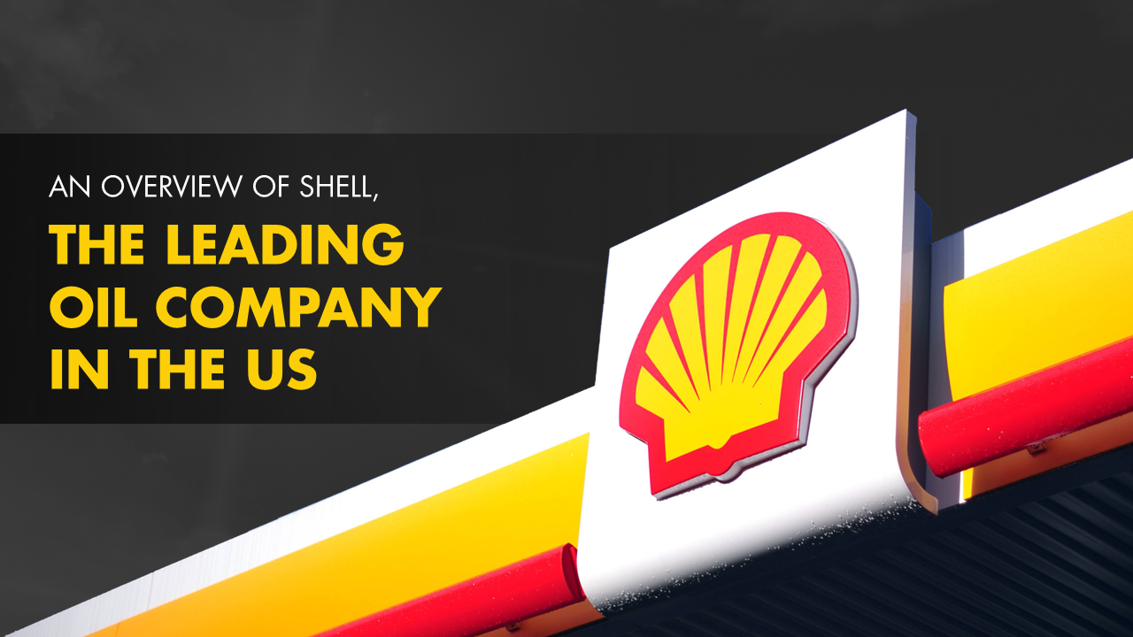 SHELL Portfolio Examples