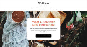 Wellness Pro Theme