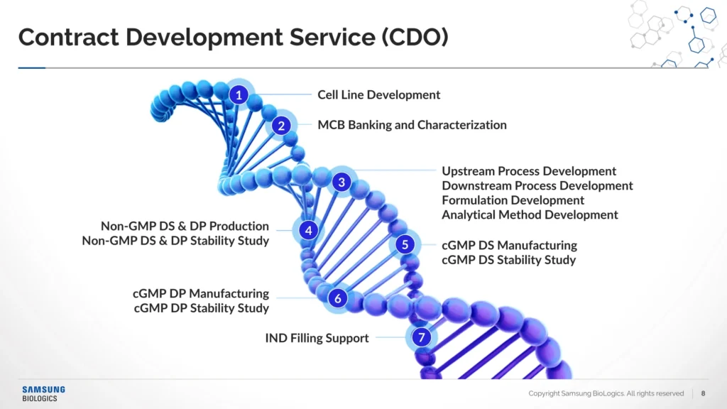 Slide 8